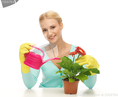 Image of housewife with flower in pot and watering can