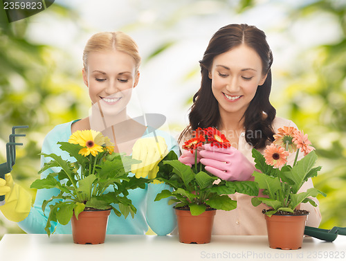 Image of housewife with flower in pot and gardening set