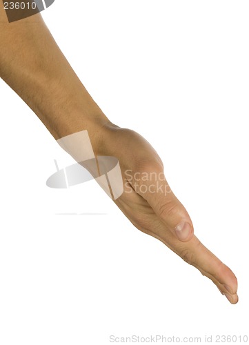 Image of   body part