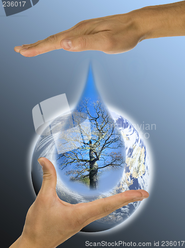 Image of ecology, hands, responsibility