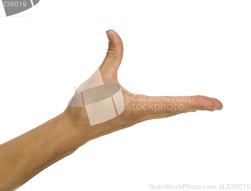 Image of   body part