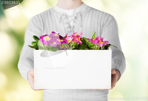 Image of man holding big pot with flowers