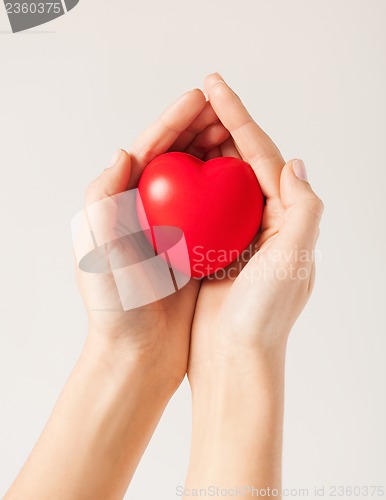 Image of woman hands with heart