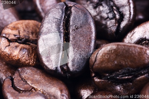 Image of Coffee Bean Close Up