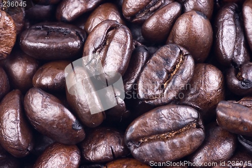 Image of Coffee Bean Close Up