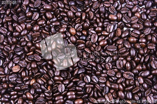 Image of Coffee Bean Close Up