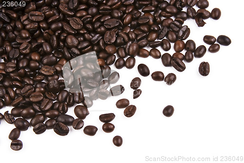 Image of Coffee Bean Close Up