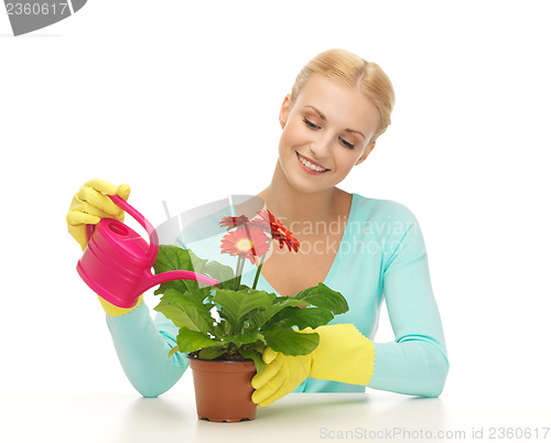 Image of housewife with flower in pot and watering can