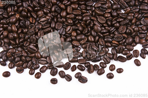 Image of Coffee Bean Close Up