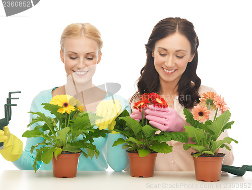 Image of housewife with flower in pot and gardening set