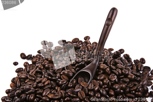 Image of Scoop Of Coffee Bean