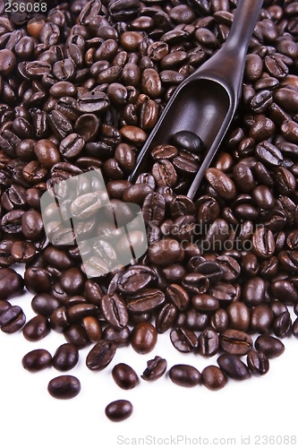 Image of Scoop Of Coffee Bean