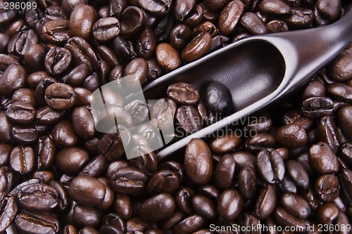 Image of Scoop Of Coffee Bean