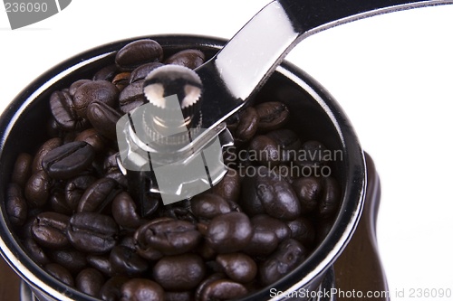 Image of Coffee Grinder Close Up