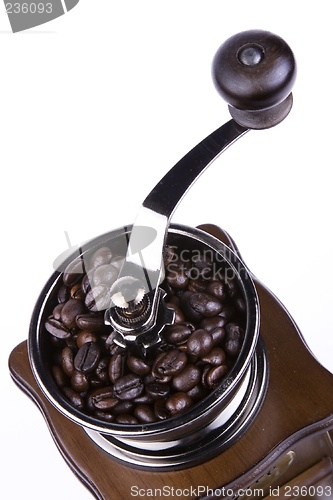 Image of Coffee Grinder Close Up