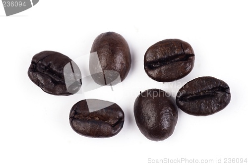 Image of Coffee Bean Close Up