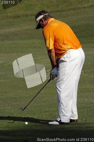 Image of Golfer