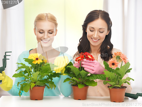 Image of housewife with flower in pot and gardening set