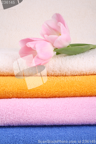 Image of towels