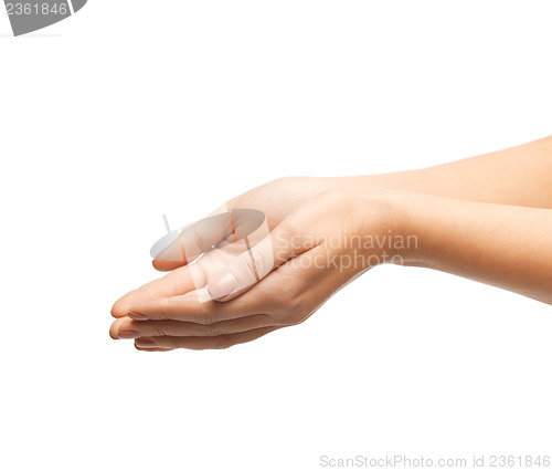 Image of womans cupped hands