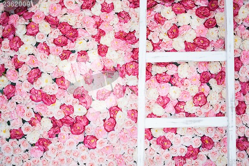 Image of background full of white and pink roses