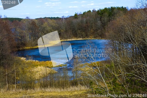 Image of Autumn