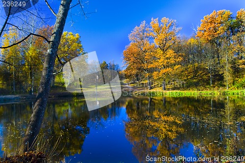 Image of Autumn