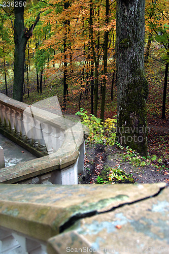 Image of Autumn