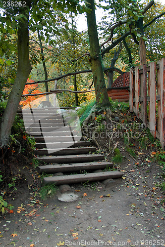 Image of Autumn