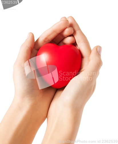 Image of woman hands with heart