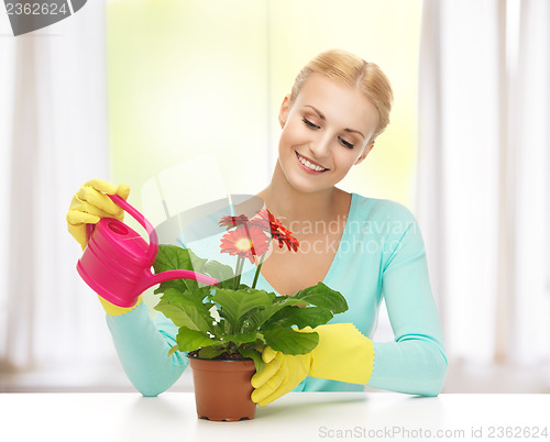 Image of housewife with flower in pot and watering can