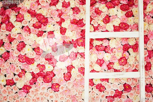 Image of background full of white and pink roses