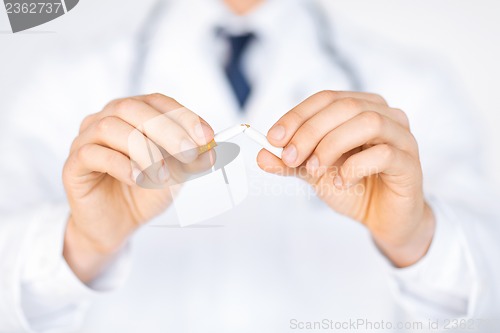 Image of man breaking the cigarette with hands