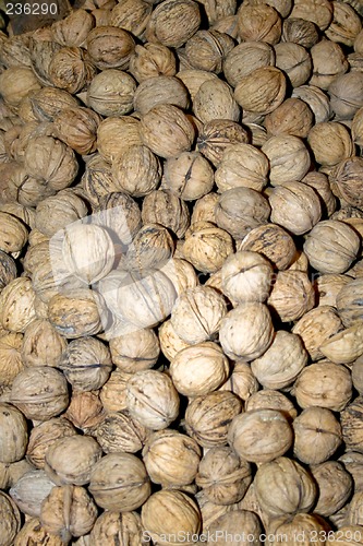 Image of Walnuts