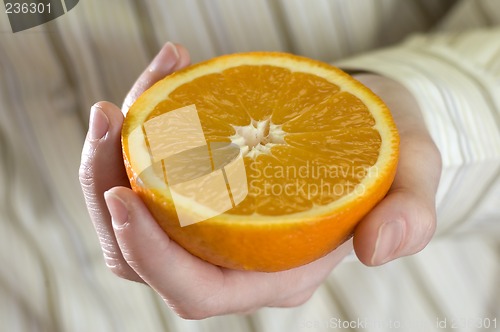 Image of orange