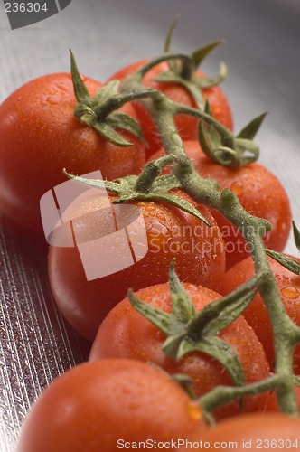 Image of tomato