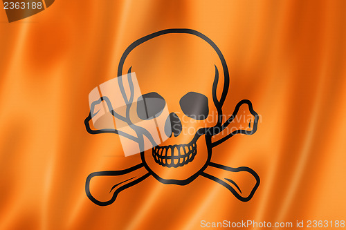 Image of toxic poison skull flag