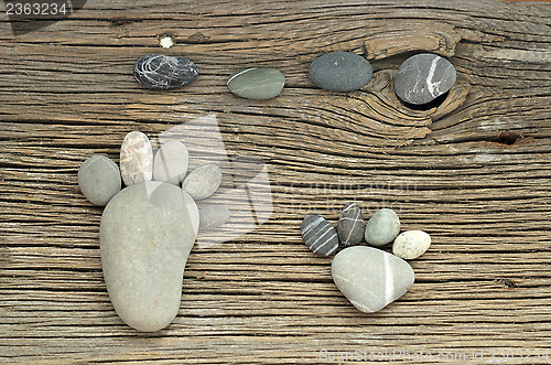 Image of pebble family