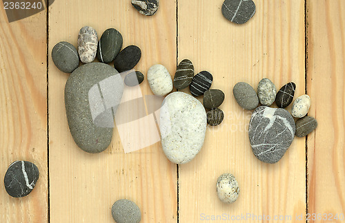 Image of pebble family