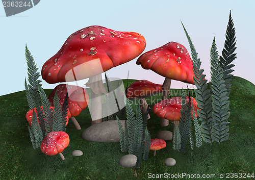 Image of Toadstools