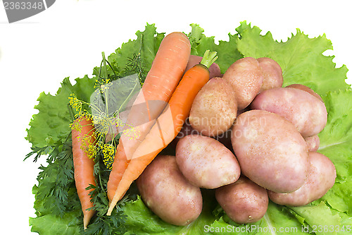 Image of Potatoes, carrots, green salad on a white background.