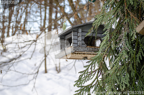 Image of bird feeder nailed small logs with holes in winter 