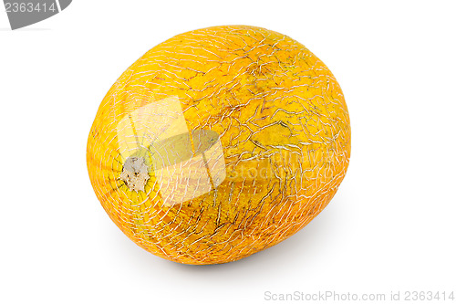 Image of Melon