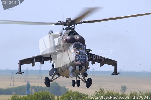 Image of Mil Mi-24 Hind