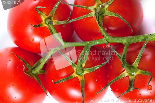 Image of Bunch of fresh tomatoes with water drops