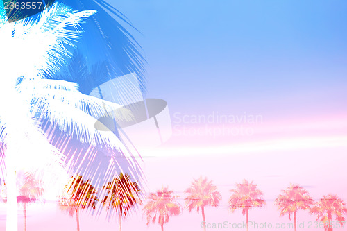 Image of Tropical Palm Trees Collage