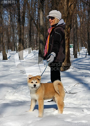 Image of Akita Inu