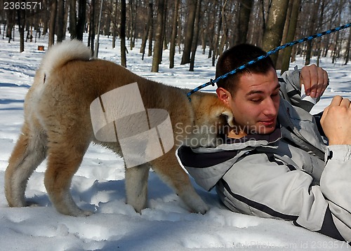 Image of Akita Inu