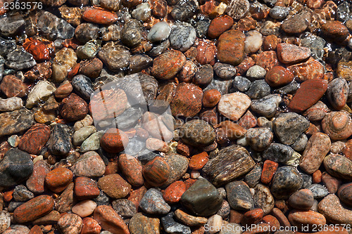 Image of Beautiful stones on the beach