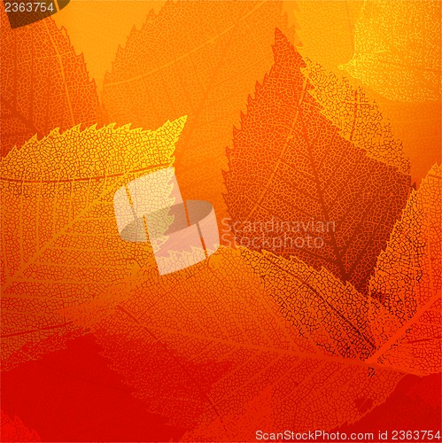 Image of Dry autumn leaves template. EPS 10
